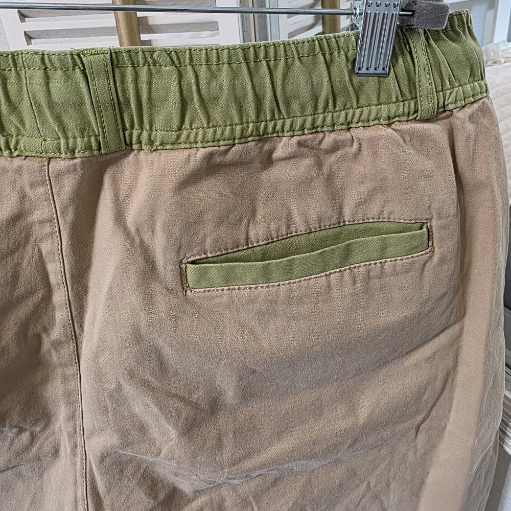 Flag Nor Fail Khaki Shorts - Picture 6 of 10